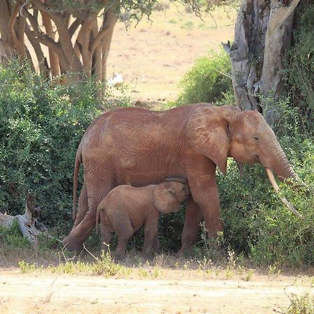 瓦塔穆Nyumba Ya Afrika住宿加早餐旅馆 外观 照片