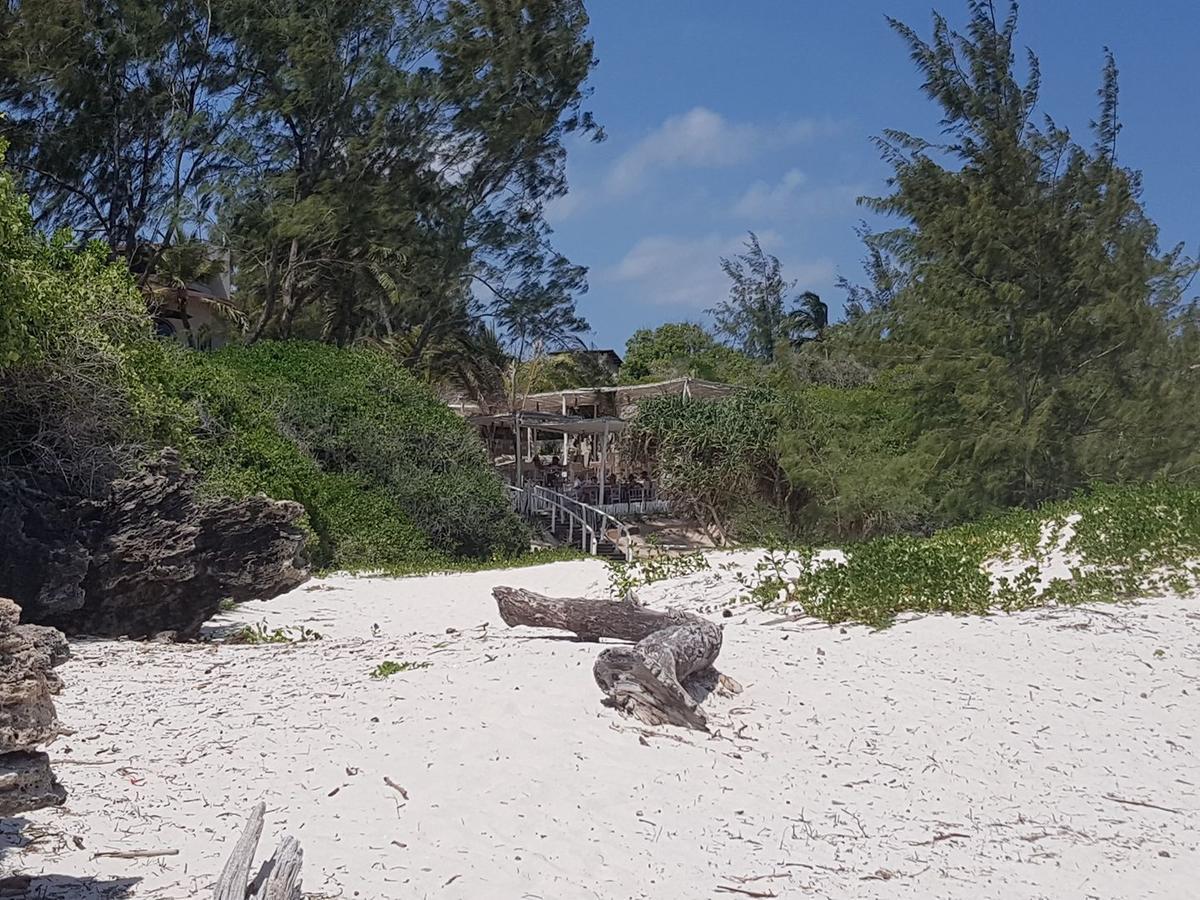 瓦塔穆Nyumba Ya Afrika住宿加早餐旅馆 外观 照片
