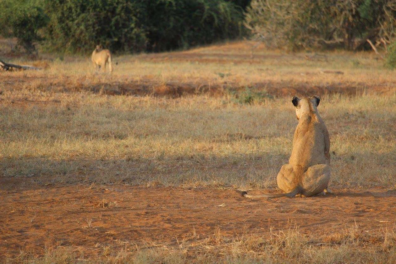瓦塔穆Nyumba Ya Afrika住宿加早餐旅馆 外观 照片