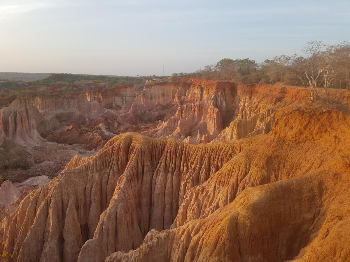 瓦塔穆Nyumba Ya Afrika住宿加早餐旅馆 外观 照片