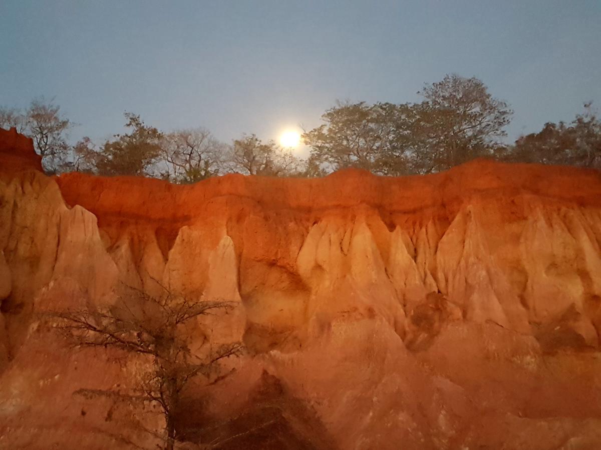 瓦塔穆Nyumba Ya Afrika住宿加早餐旅馆 外观 照片